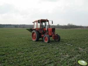 MTZ 80 + Amazone