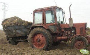 MTZ 80