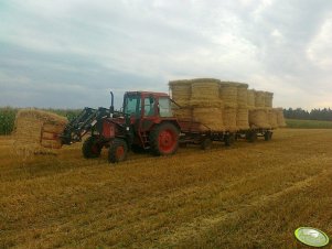 MTZ 82 + Agromasz Ł-106 + przyczepy