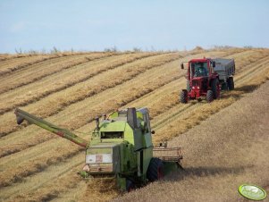 MTZ 82 + Claas Mercator