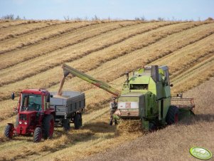 MTZ 82 + Claas Mercator  