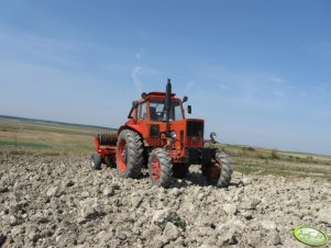 Mtz 82 + Expom Jacek