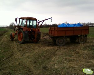 Mtz 82 + hak do nawozu + przyczepa z nawozem