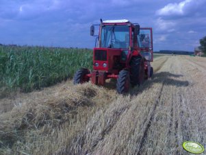 Mtz 82 + Hesston 5700