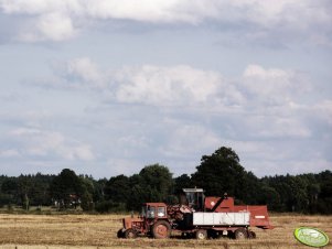 MTZ 82 i Bizon