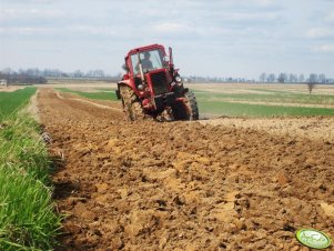 Mtz 82 + Lechia 4x42