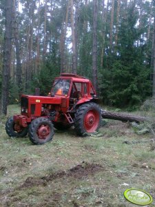 Mtz 82 + mygłownica