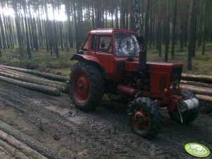 Mtz 82 + mygłownica