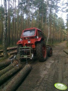 Mtz 82 + mygłownica