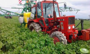 MTZ 82 + Pilmet REX 1015 XXL