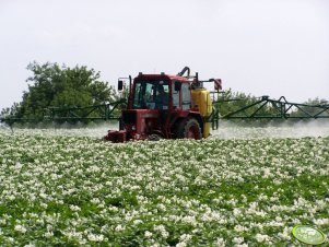 MTZ 82 + Pilmet REX 1015 XXL