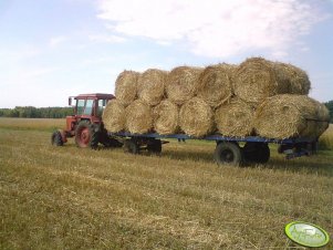 MTZ 82 + Platforma do bel