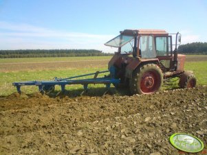 MTZ 82 + pług Kołaszewski 2,1metra