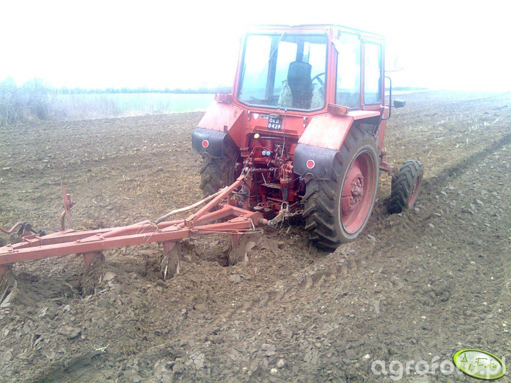 MTZ 82 + pług - MTZ - Belarus - Agrofoto.pl Forum Rolnicze i Galeria ...