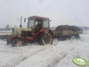 Mtz 82 + przyczepa D-35M