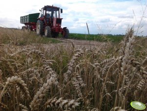 MTZ-82 + przyczepa D55