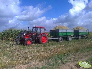 MTZ 82 + przyczepy D-47 x2