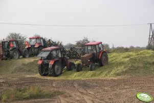 MTZ 82 TSA