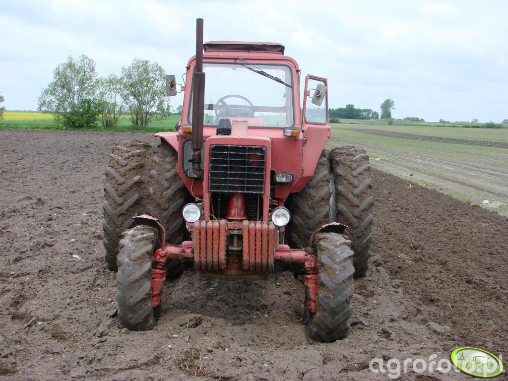 Fotografia Ciagnik Mtz 82 Id108105 Galeria Rolnicza Agrofoto 3798