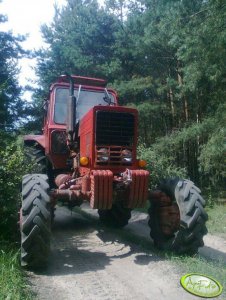 Mtz 82