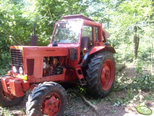 MTZ 82