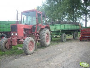 MTZ 82