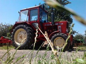MTZ-82
