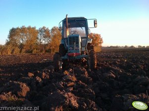 MTZ 82