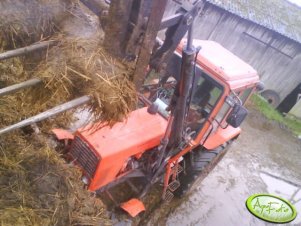 MTZ 82