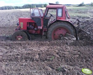 MTZ 82
