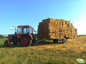 Mtz 82