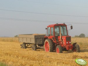 Mtz 82