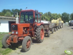 MTZ 82