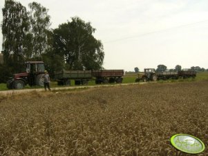 Mtz Belarus 820 i Ursus C-360