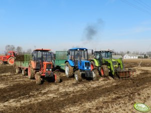 Mtz x3 i Claas Axos 340