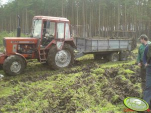 MTZ82+N218