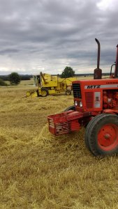 Mtz 80 & New holand 135