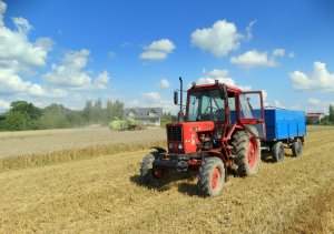 Mtz 82 & Przyczepa & Claas  Consul