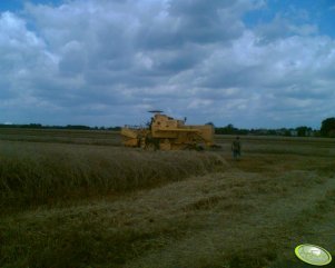 New Holland Clayson