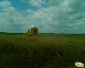 New Holland Clayson