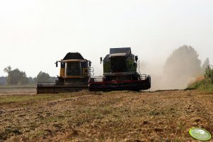 New Holland CX 8060 i Claas Mega 204