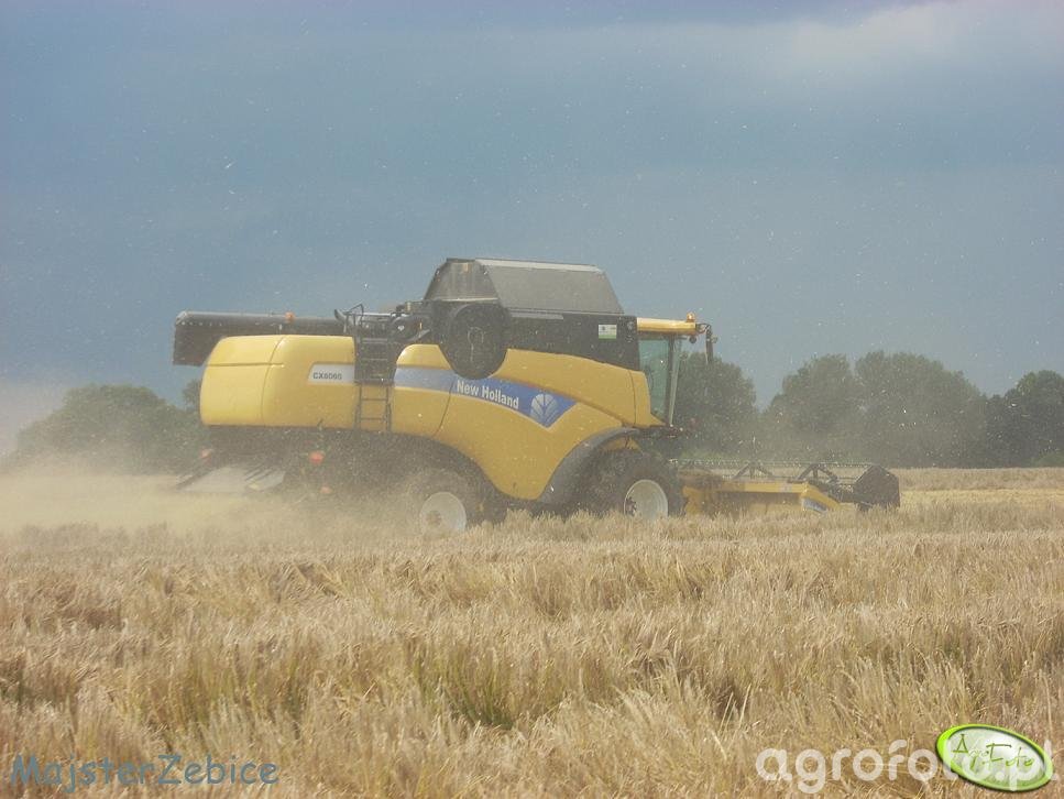 Kombajn New Holland CX8060 - Fotka #160425 - Galeria Rolnicza Agrofoto