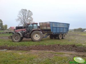 New Holland M135 + rozrzutnik