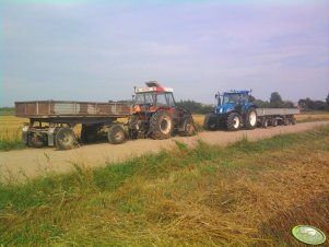 New Holland T 6030 PLUS, Zetor 7340 TURBO, przyczepy