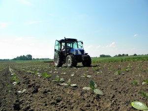 New Holland T4020