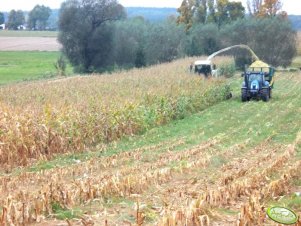 New Holland T6030