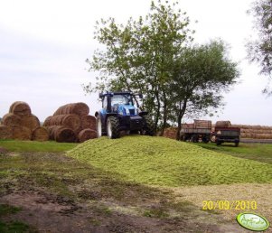 New Holland T6030