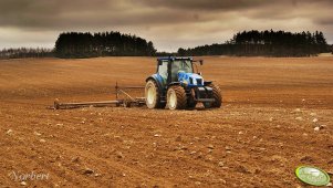 New Holland T6050 + brony