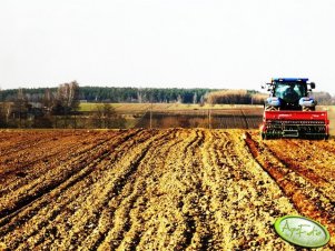 New Holland T6050 Plus + Ares XL i Polonez D