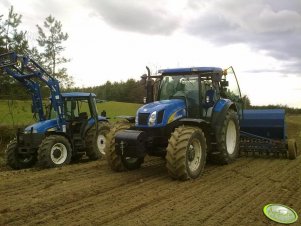 New Holland T6050 Plus + Siewnik + NH TD80D